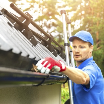 ntleeren-von-dachrinnen-erlangen-2026